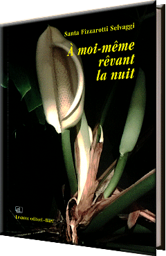 A moi-même revant la nuit